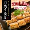 白焼うなぎ「骨・肝付き」(5匹～7匹)