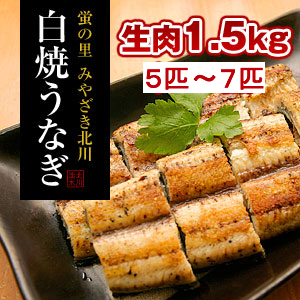 白焼うなぎ「骨・肝付き」(5匹～7匹)