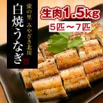 白焼うなぎ「骨・肝付き」(5匹～7匹)