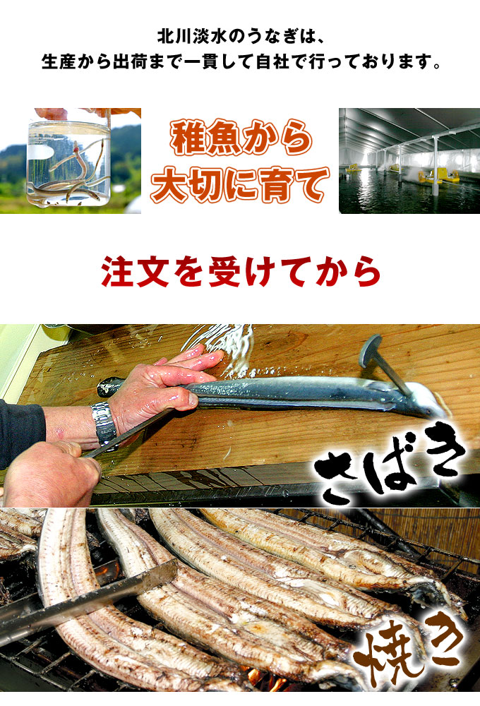 白焼うなぎ「手作りたれ・骨・肝付き」(5匹～7匹)